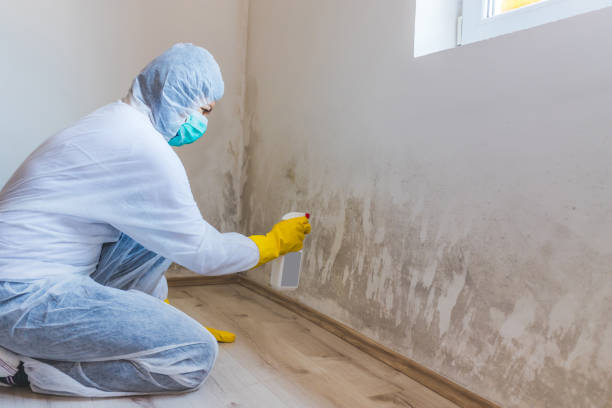 Licensed Commercial Mold Remediation service in Chesterfield, NJ - WQB Mold Removal