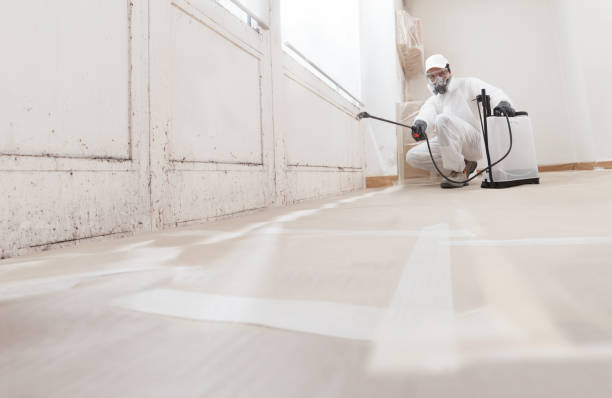 24/7 Emergency Commercial Mold Remediation experts in Chesterfield, NJ