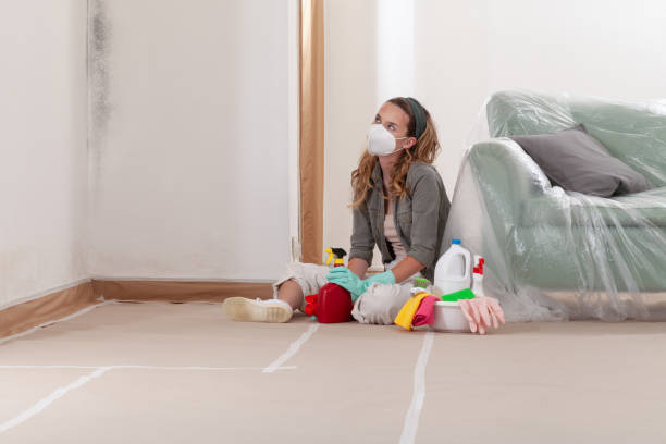 Reliable Commercial Mold Remediation contractor in Chesterfield, NJ by WQB Mold Removal